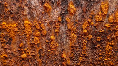 Pas demir doku arka plan