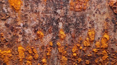 Eski demir pas dokusu