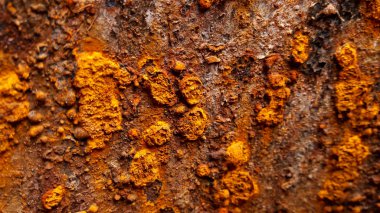 Eski demir pas dokusu