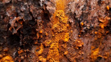 Pas demir doku arka plan