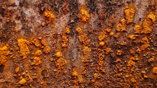 Aşınmış metal dokulu arka plan