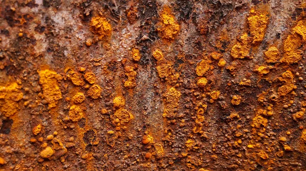 Metall Mit Rost Textur Hintergrund Nahaufnahme — Stockfoto