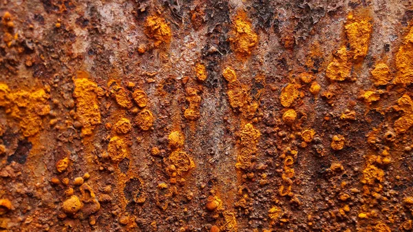 Metal pas dokusu arkaplanı