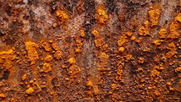 Metall Rost Textur Hintergrund — Stockfoto