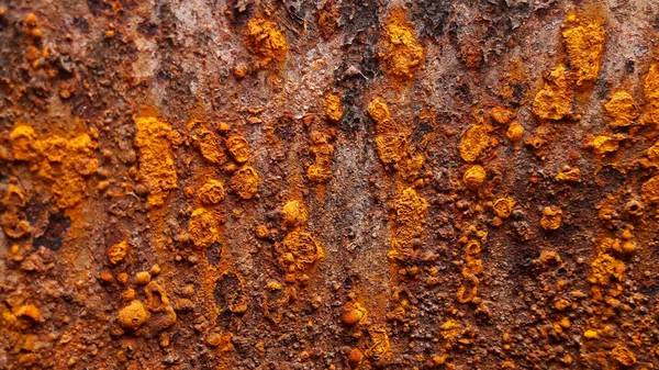 Pas demir doku arka plan