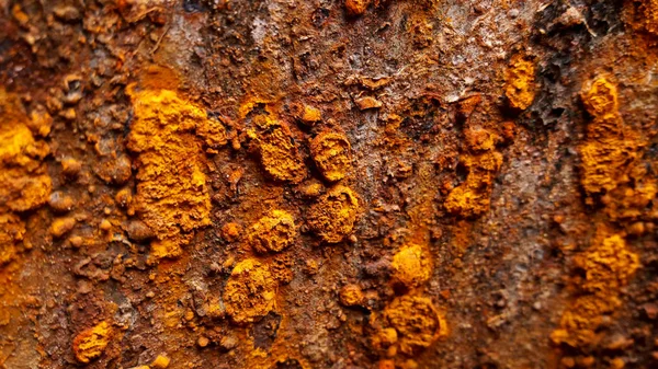 Eski demir pas dokusu