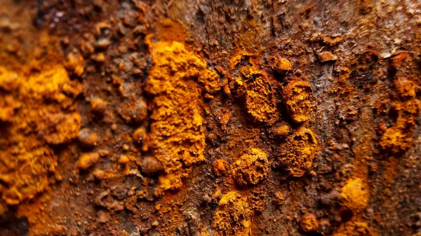 Pas doku arka plan ile metal. Yakın çekim