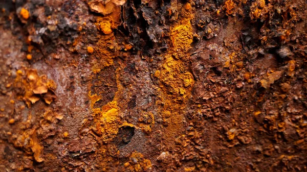 Pas demir doku arka plan