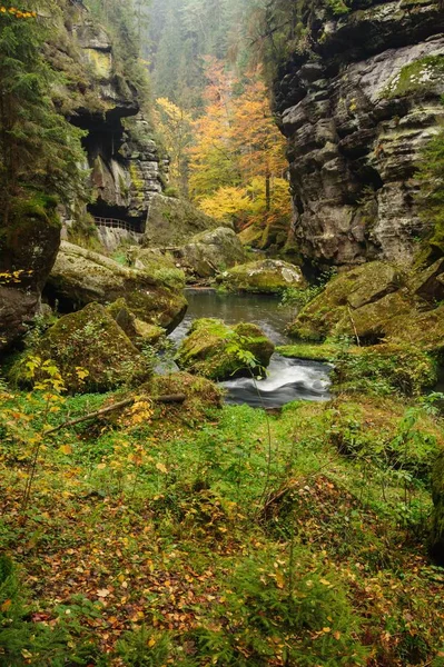 Autunno Alberi Colorati Foglie Rocce Intorno Bellissimo Fiume — Foto Stock