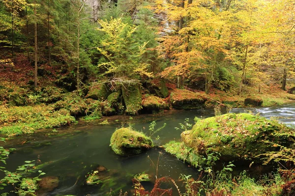 Automne Arbres Colorés Feuilles Rochers Autour Belle Rivière — Photo