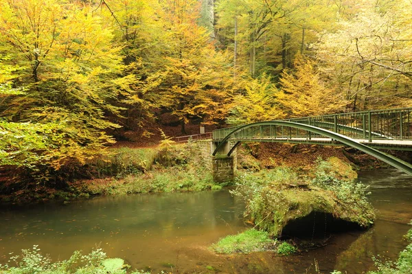 Herfst Gekleurde Bomen Bladeren Stenen Rond Prachtige Rivier — Stockfoto
