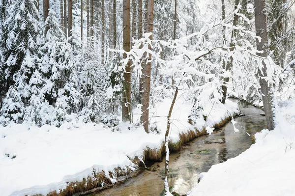 瑞士捷克的冬季雪景 — 图库照片