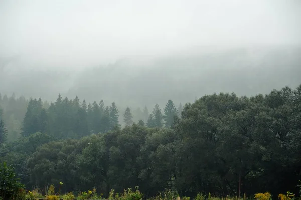 Panorama Belas Paisagens Verdes Névoa Chuva — Fotografia de Stock