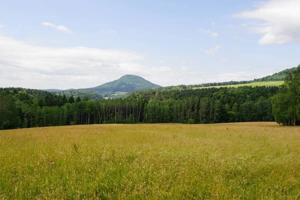 Bela Paisagem Verde Com Prado Árvores Céu — Fotografia de Stock