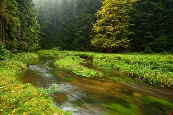Een Prachtig Schone Rivier Die Door Een Kleurrijk Herfstbos Stroomt — Stockfoto