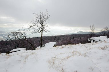 Kar ve kar bulutlarıyla kaplı kış manzarası