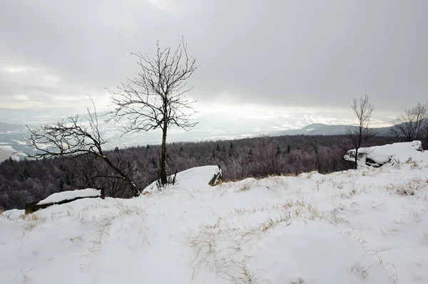 覆盖着白雪的冬季风景 — 图库照片