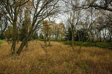 Sonbahar manzarası - kayalar, ormanlar - hepsi güzel renklerde.