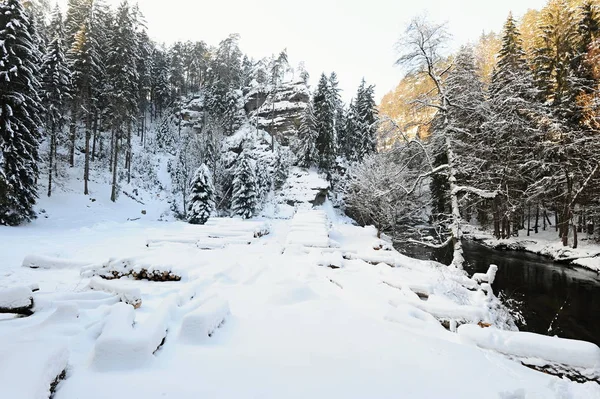 Winter Landscape Snow Czech Switzerland — Stock Photo, Image