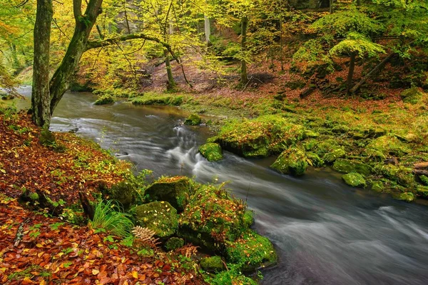 Beautifully Clean River Flowing Colorful Autumn Forest — Stock Photo, Image