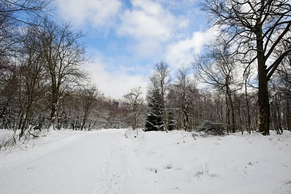 Winter Landscape Covered Snow Snow Clouds — Stock Photo, Image