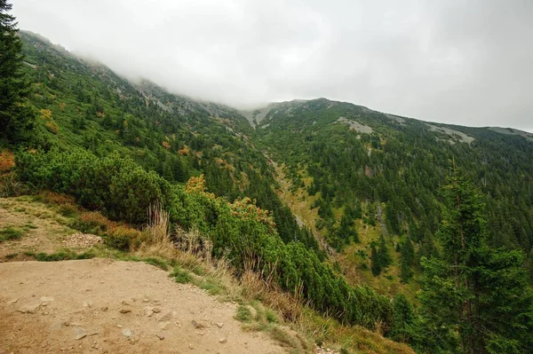 Стоун Маунтін Краєвид Сосна Гірська Хмарного Неба — стокове фото