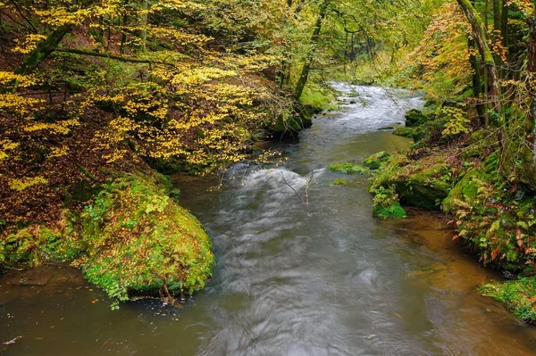 Krásně Čistá Řeka Tekoucí Barevným Podzimním Lesem — Stock fotografie
