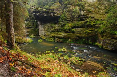 Ağaçlar, yapraklar, kayaların güzel nehrin etrafında renkli sonbahar