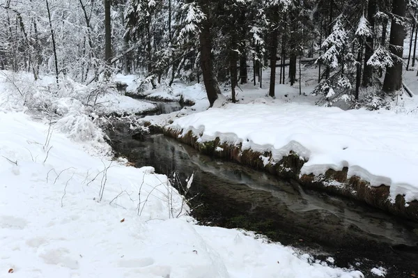 Winterlandschap Met Sneeuw Tsjechië — Stockfoto
