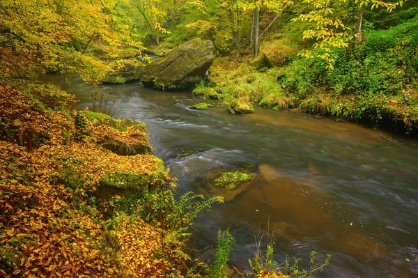 Pięknie Czysta Rzeka Przepływająca Przez Kolorowy Jesienny Las — Zdjęcie stockowe
