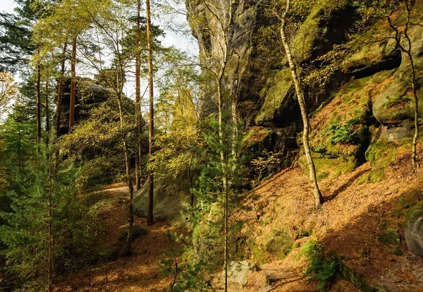 Φθινοπωρινό Τοπίο Βράχια Δάση Όλα Όμορφα Χρωματισμένα — Φωτογραφία Αρχείου