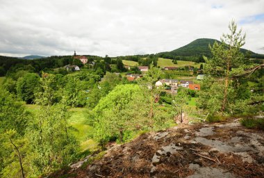 Çayırı, ağaçları ve gökyüzü olan güzel yeşil bir manzara.