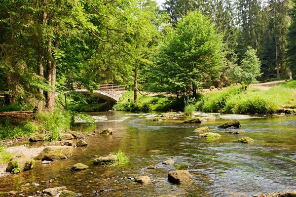 Gammal Bro Över Kamenice Med Växter Böhmen — Stockfoto