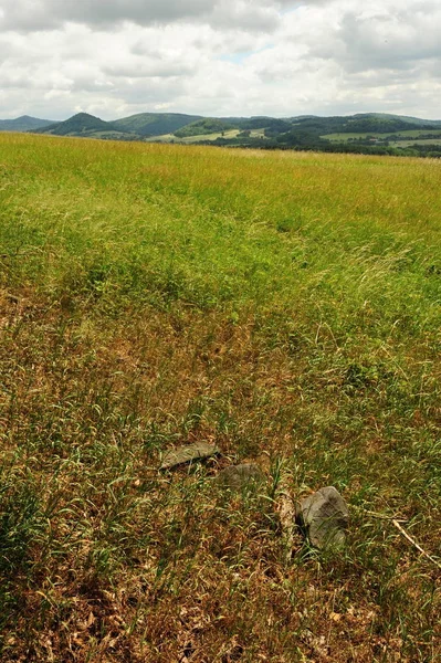 Krásná Zelená Krajina Loukou Stromy Oblohou — Stock fotografie