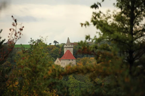 Замок Kokorin — стокове фото