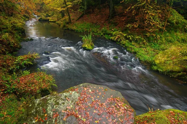 A beautifully river flowing autumn forest — Stock Photo, Image