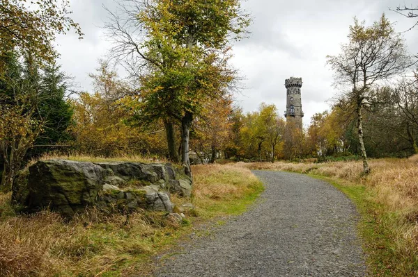 Höstlandskap - alla vackert färgade — Stockfoto