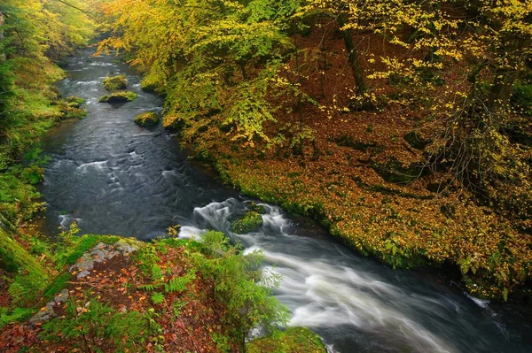 Un hermoso río que fluye bosque otoñal — Foto de Stock
