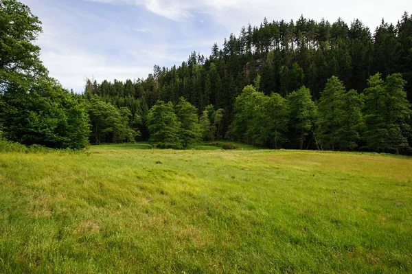 Summer landscape with forests, meadows rocks and sky — Stock Photo, Image