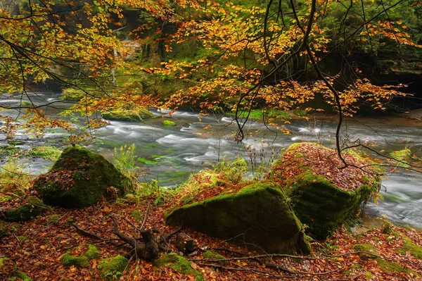Ένα όμορφο ποτάμι που ρέει φθινόπωρο δάσος — Φωτογραφία Αρχείου
