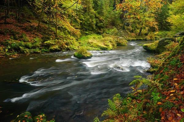 Ένα όμορφο ποτάμι που ρέει φθινόπωρο δάσος — Φωτογραφία Αρχείου