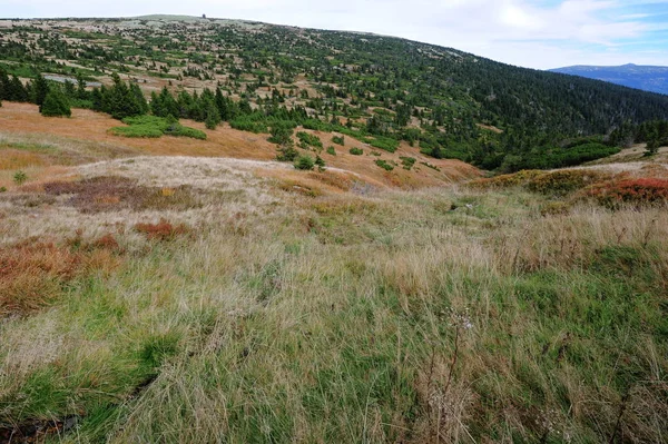 View of the rocky landscape — Stock Photo, Image