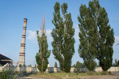 Santral baca ve satır ağaçların solmuş dalları, çevre kavramı ile