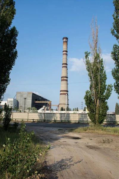 Termik santral, Ukrayna'nın baca karşı solmuş ağaç