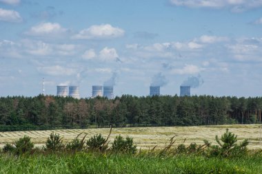 Soğutma kuleleri nükleer santral arkasında çam ormanı, Ukrayna