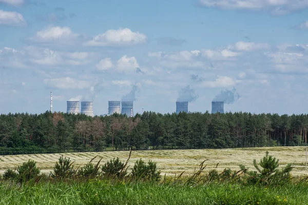 Soğutma kuleleri nükleer santral arkasında çam ormanı, Ukrayna