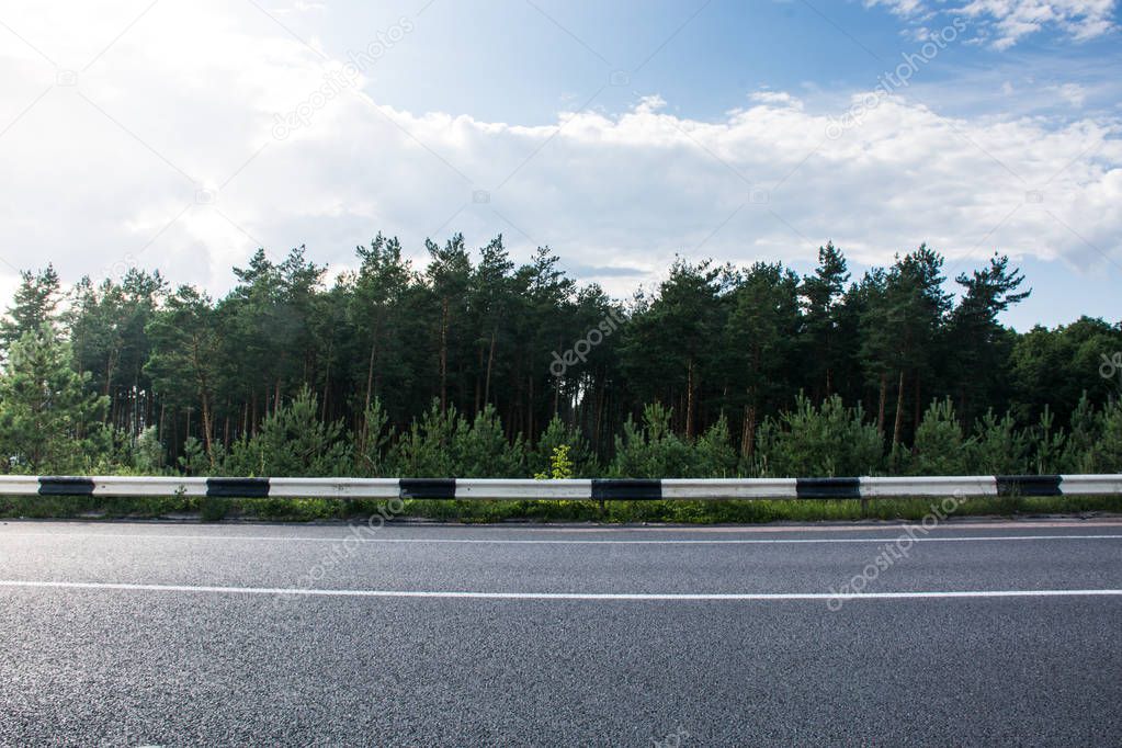 The Road and Pine Forest in Linearity View, Sunny Day