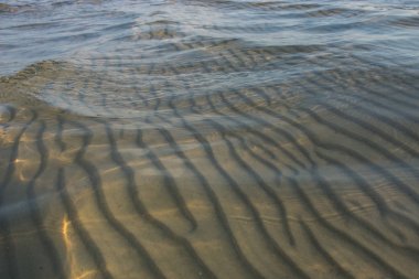 «Ana sayfa» göl manzarasına Sandy alt, doğal arka plan