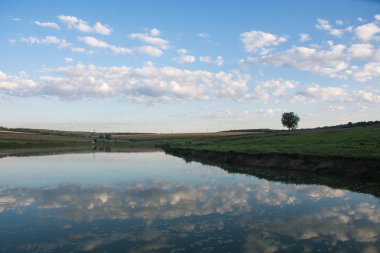 Yalnız ağaç beyaz bulutlar, yaz manzara arasında
