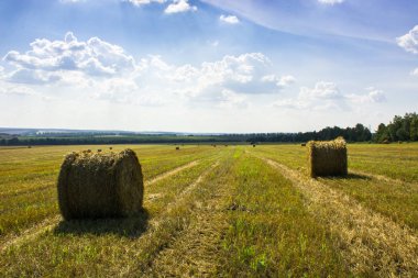 dairesel saman balya ile kırsal alan